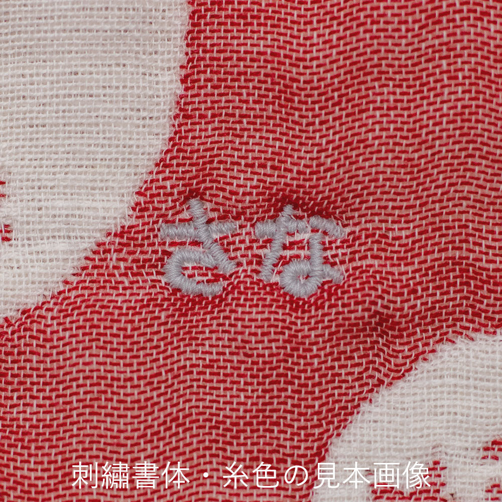 Baby Blanket | Guitar Red 70x100